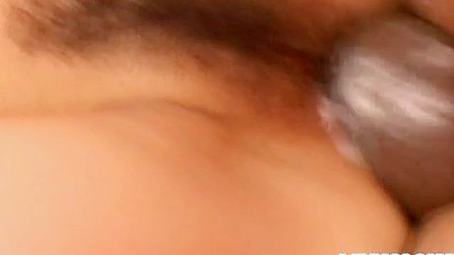 Emiri Sena Salvaje Disfruta Tres Culos En Sexo Asiático Kinky