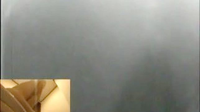 Bella asiática follando su coño con un juguete sexual