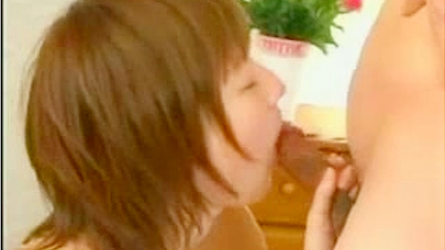 Nasty and cute japanese babe is satisfying her buddy