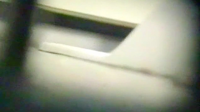 Chica Japonesita Atractiva Haciendo Sexo En El Baño