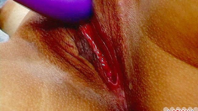 Young Japanese slides a thick toy deep inside her warm cherry