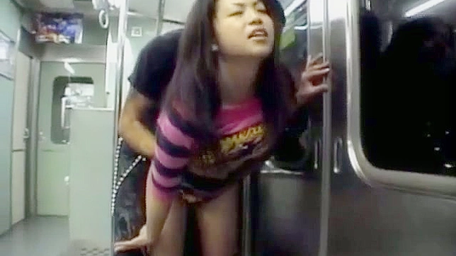 Delightsome action with babe on a train