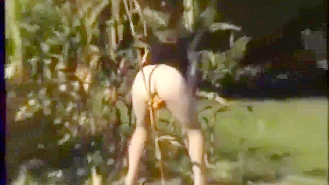 Luscious farmer's Jap wife plays with her pussy in a cornfield. Jav , Flasher Outdoor