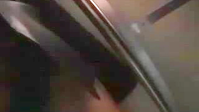 Molestation on the Rails - A Nippon Schoolgirl Tale