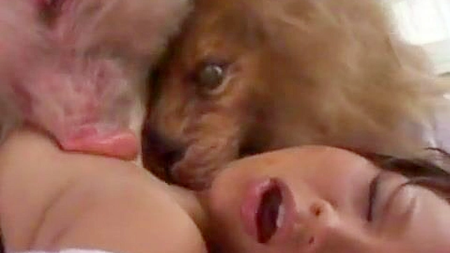 Asians Porn Star Wild Animal Fantasy