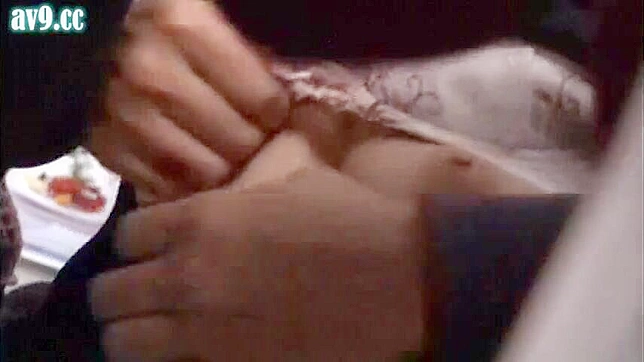 Nippon Teen Wild Public Sex Romp on Packed Train
