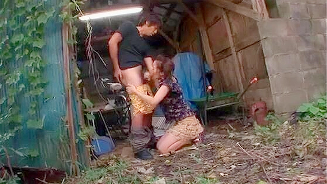 Ruri Saijo Exotic Outdoor Orgy with Multiple Partners