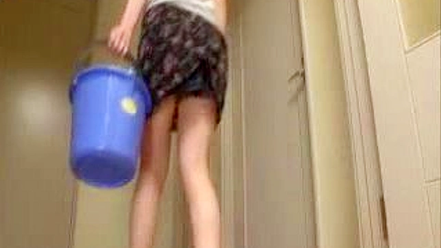 Deluded MILFs in Japan Naughty Fantasy
