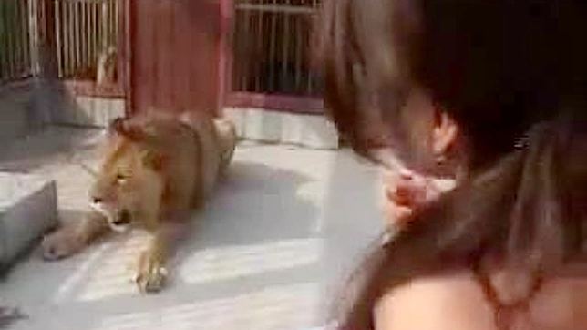 Lusty Lion Cage Captures Fearless Women