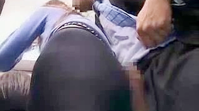 Innocent Schoolgirl Groped by Strange Train Passenger