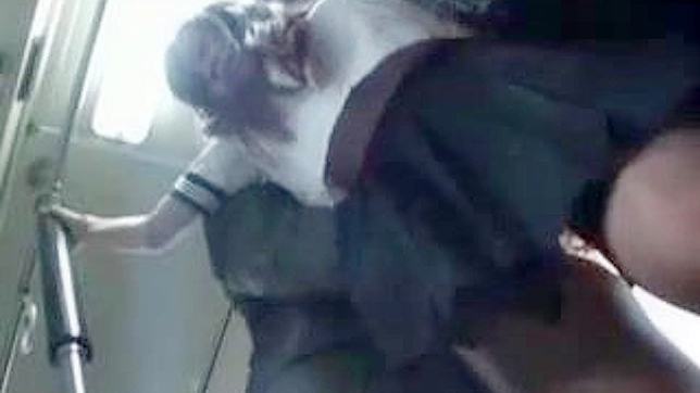 Japan Schoolgirl Groped and Used in Public
