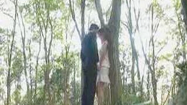 Nippon Forest Stroll Turns Into Solo Pleasure