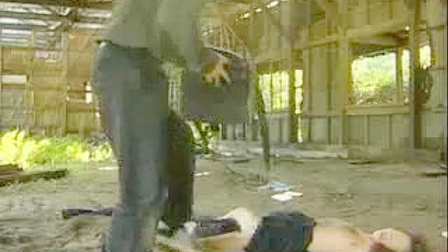 Fantasy Fuck Attack by Sexual Predator in Japan