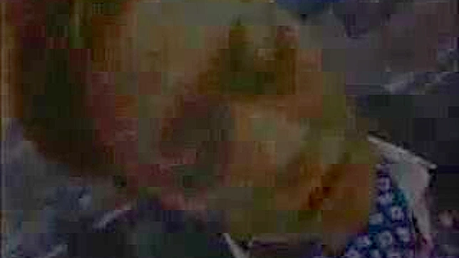 Nippon Porn Star Gets Completely Covered in Cum