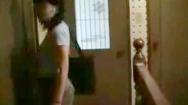 Brothers' Embrace - A Tantalizing Journey into Japanese Porn