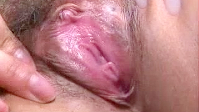 Open Japanese Hot Pussy / HD XXX JAV TUBE