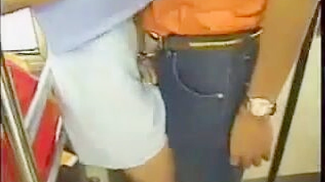Sexy Japanese Woman Gets Pounded on Public Transportation