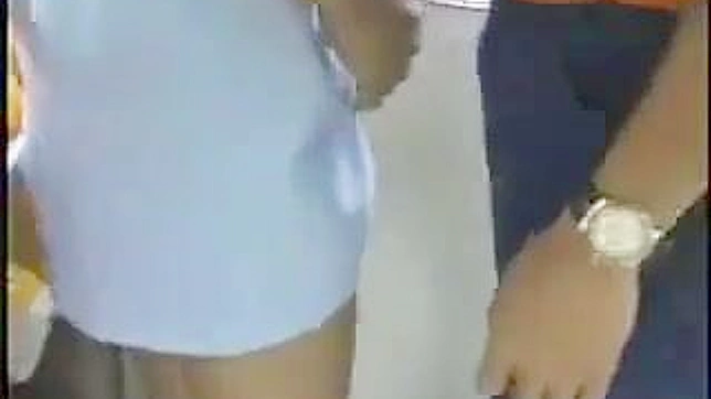 Sexy Japanese Woman Gets Pounded on Public Transportation