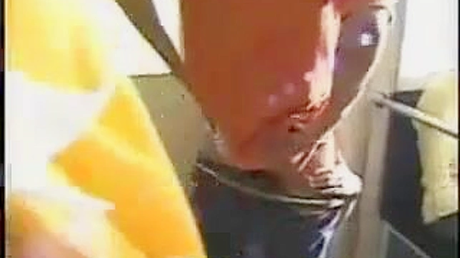 Sexy Japanese Woman Gets Pounded on Public Transportation