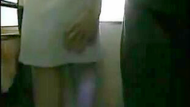 Sexy Japanese Woman Gets Pounded on Public Transportation