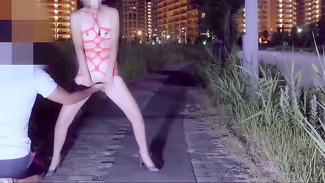 JavDropped ~ Japanese Amateur Sesh premium video