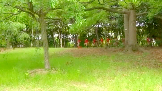 Horny Japanese Chick Eri Makino in Amazing Outdoor Cosplay JAV Scene